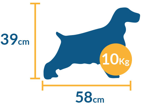 sunny articulos para mascota perro 10k 2 - TRANSPORTADORA PARA PERRO SPC 03