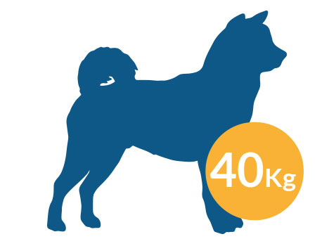 sunny articulos para mascota perro peso 40k - JAULA METÁLICA PLEGABLE DWB 5000