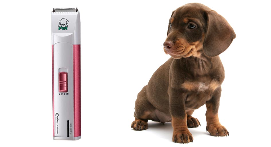 sunny articulos para mascota perro rasuradoras y repuestos CP5101 modelo - RASURADORAS Y REPUESTOS   CP 5101