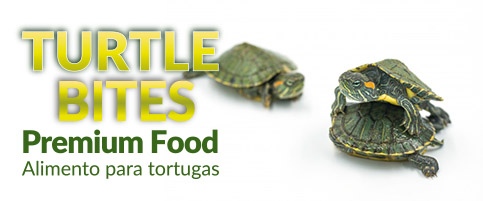 tortiha bites - ALIMENTO TURTLE BITES